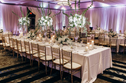 Chairs ~ Corporate Event Rentals